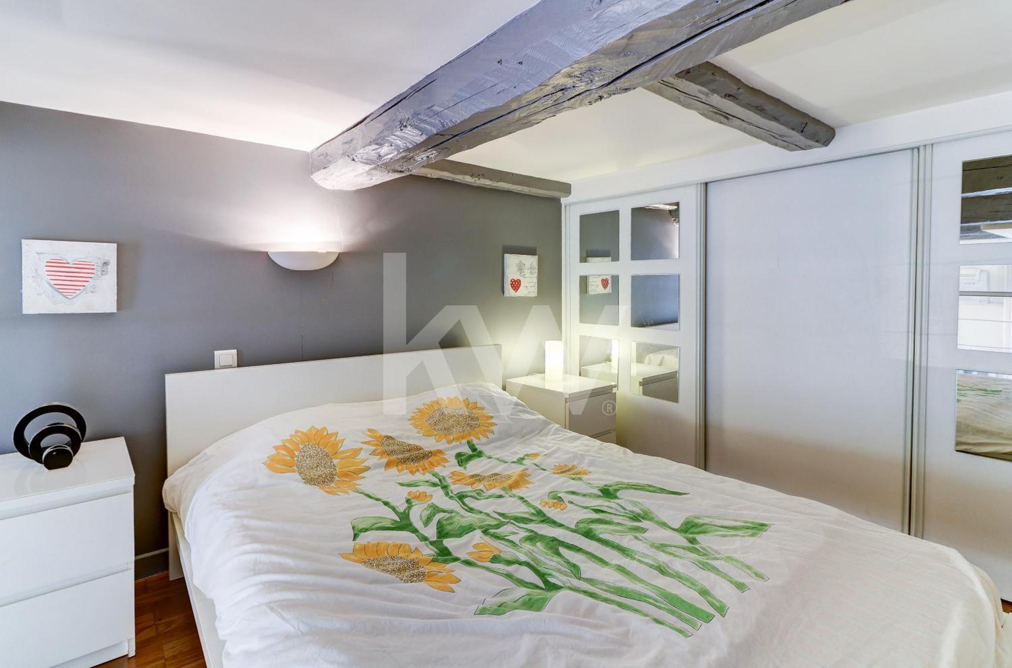 Spacieux Duplex - Zone Pietonne 尼斯 外观 照片